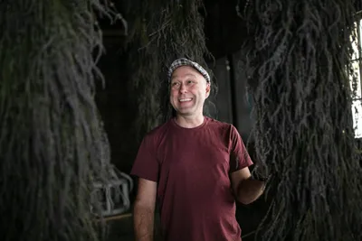 Mark Ponchak, a lavender farmer in McConnellsville, OH, with his drying lavender in the attic of his brotherâs brewery on November 6, 2023.